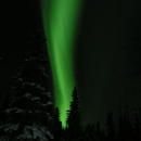 Aurora in Alaska