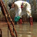 Greenpeace Worker Collects Oil Samples