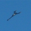 UFO seen in the skies over Los Cristianos, Spain