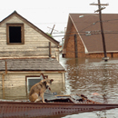 Hurricane Katrina