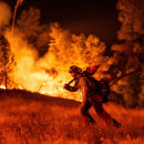 Napa Valley Fire 2025