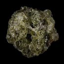 Photo: The Long, Weird Half-Life of Trinitite