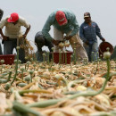 Photo: Modern-day slavery uncovered in South Georgia