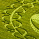 Crop Circles