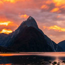 New Zealand